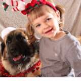 vrolijk kerstfeest!