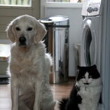 Tara & Chess