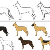 Type herder chart