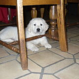 Foto van Caroline