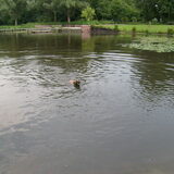 Foto van Gea ploeger