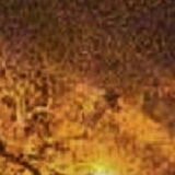 foto Brittie 18/12 04.30 ingezoomd