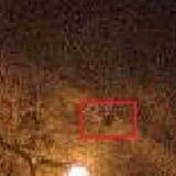 Foto Bertine 18-12 23.57 ingezoomd 1