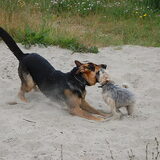 even samen spelen