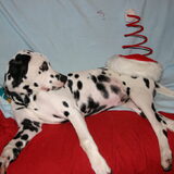Kerst