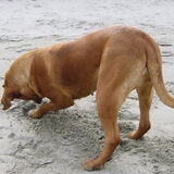 Oktober 2009 lekker met mijn baasjes mee zeevissen, het was heerlijk…