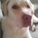 Foto van esther
