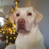 Foto van esther