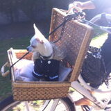 op de fietss