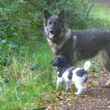Foto van linneke en layla