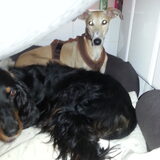 Foto van Ina, Misty en Aysa