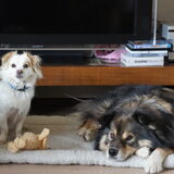 Foto van Taiko & Kiya Thalassa