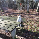 Missy aan de picknick tafel in het bos!