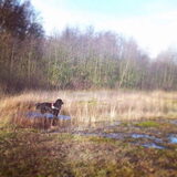 Foto van Anouk & Balou<3