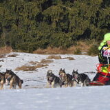 sham als pret-musher