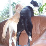 Samen alles in de gaten houden...