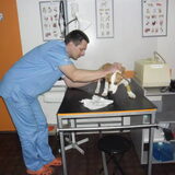 Brana bij de dierenarts