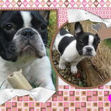 deze is voor you haike
