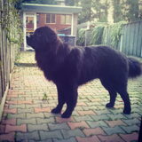 Foto van Anouk & Balou<3
