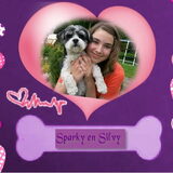 Voor Silvy