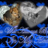 Foto van liesbeth,Turbo,Luna, Levi en Faith