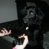 Foto van * Baasje Buddie met Anne*