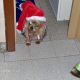 met mijn kerstmuts op