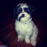 Dit is mijn Babe, is ze geen schatje?