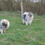 2 half broers op wandeling