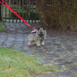 nog steeds niet moe :)
