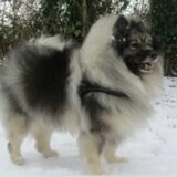 Eros broer van Extreme en Especially