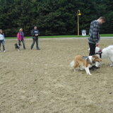 Foto van Silvia, Blackie & Saffira
