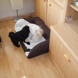 en samen spelen