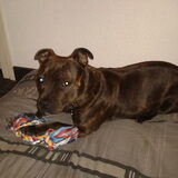 Benthe 1 jaar !