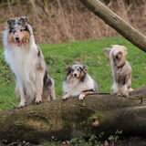 Foto van Lizzie en Sterre