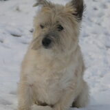 Foto van eline en bassie