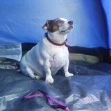 Ons modelleke