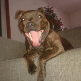 Foto van Elly