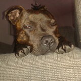 Foto van Elly