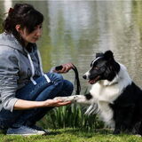 Op een fotomeeting. Pootje geven.