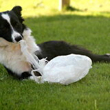 Ze speelt niet alleen graag met handdoeken, maar ook met plastieke…
