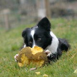 Kijkt ze hier niet ontzettend lief? We weten dat ze graag speelt met…