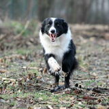 Los op het veld!