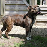 Onze Miss