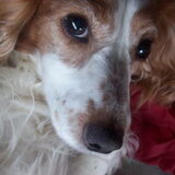 close up
