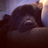 Foto van Anouk & Balou<3
