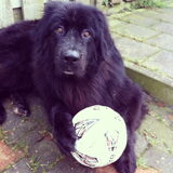 Foto van Anouk & Balou<3