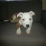 wat ben ik toch lief