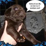 Foto van sandra