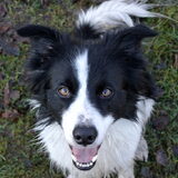 Foto van Tess